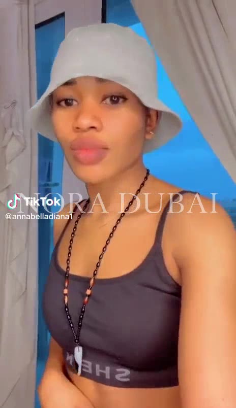 Video of Bella in Ajman, United Arab Emirates